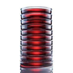 Mueller Hinton Agar (5% Horse Blood & NAD)