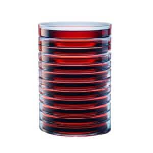 Salmonella Shigella Agar