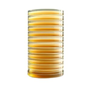 Sabouraud Dextrose Agar